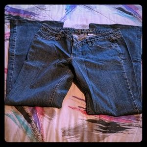 Fins by Lisa King Women's Flare Jeans